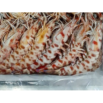 LANGOSTINO TIGRE Tª4 C/ 6 EST X 2KG