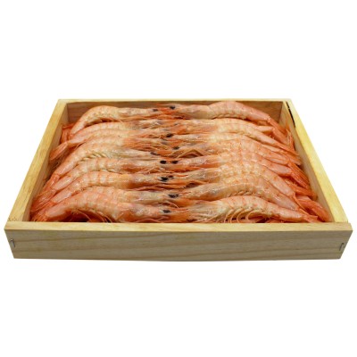 GAMBA SOFINA M2 (85 PZAS) C/10EST X