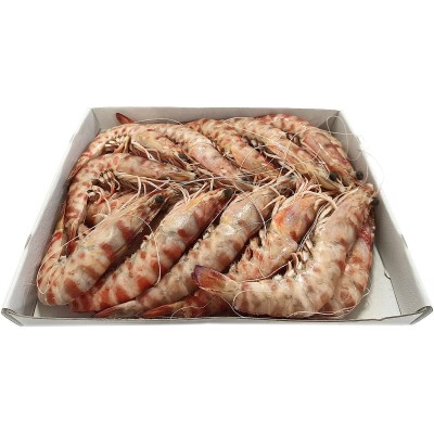 LANGOSTINO TIGRE Nº3  C/12 EST X 1