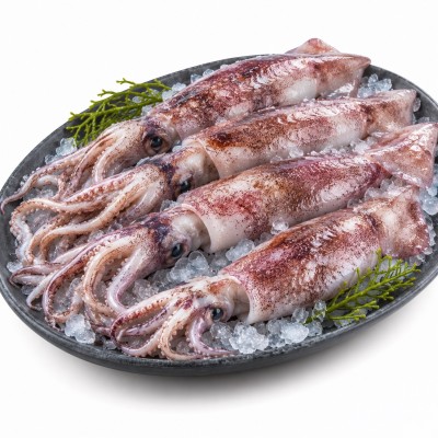 CALAMAR SUCIO 10/20 C/6 X 2KG
