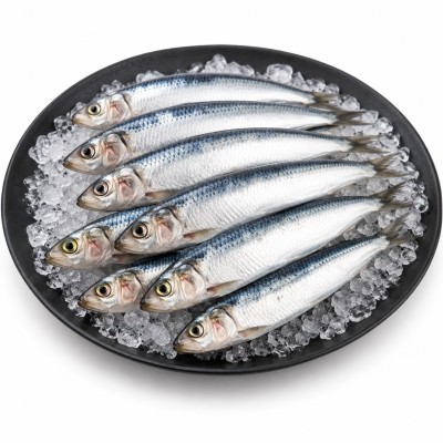 SARDINA 8/12 IQF SARAYMAR C/ 8KG