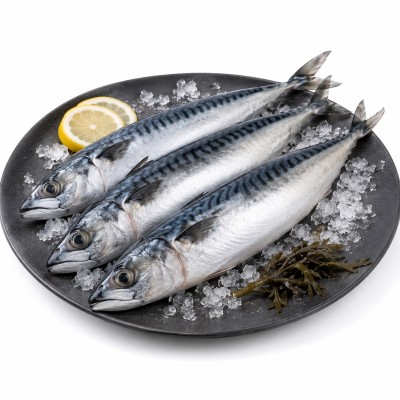 CABALLA ENTERA IQF 3/4 C/20 KG