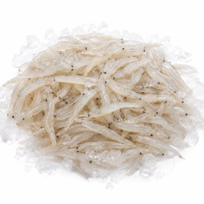 GAMBA CRISTAL EST/1.5 KG