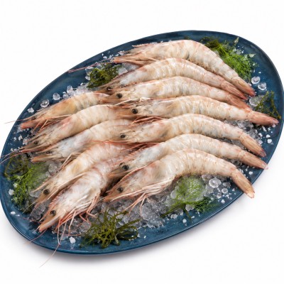 GAMBA BLANCA G C/ 1K